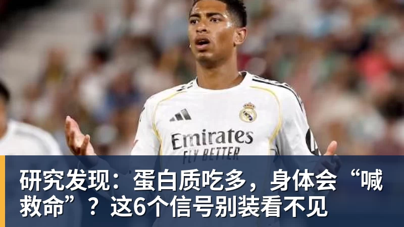研究发现：蛋白质吃多，身体会“喊救命”？这6个信号别装看不见